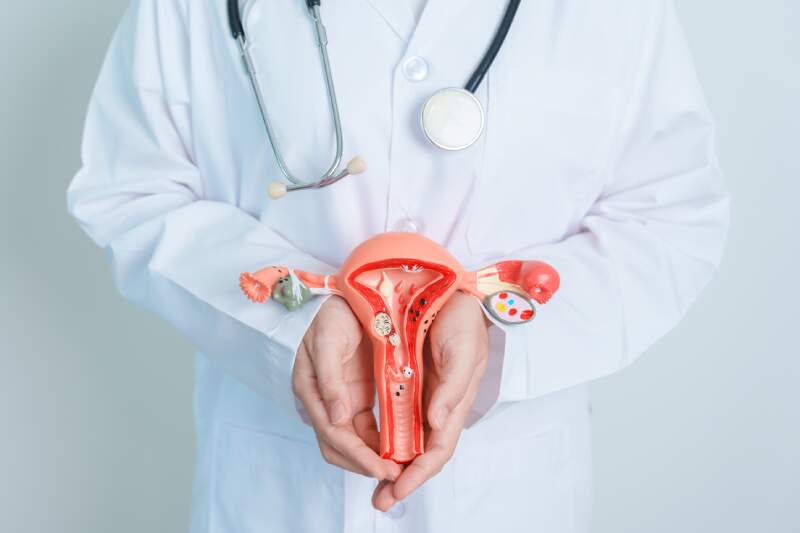 Endocrinologia Feminina: a subespecialidade da Endocrinologia